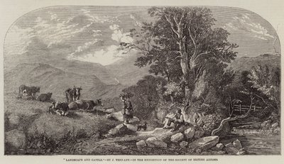 Landschap en vee door John F. Tennant